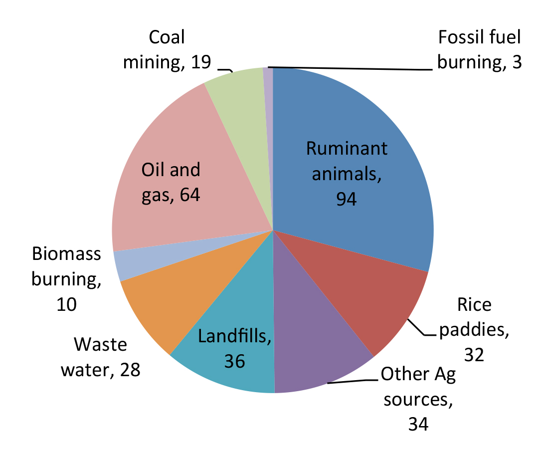 The Importance Of Methane ESR Engineers For Social Responsibility Inc